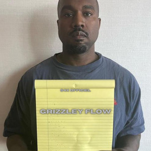 Grizzley Flow (Sick Story Pt.2)