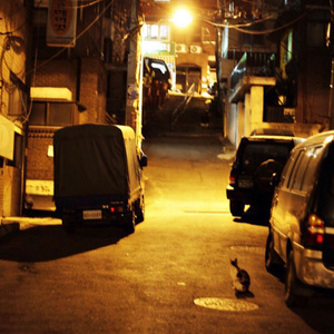 사랑, 이별… 그리고 추억