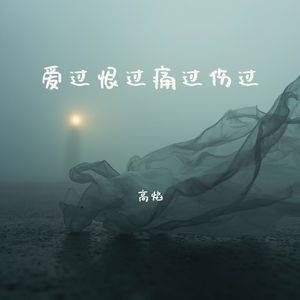 爱过恨过痛过伤过