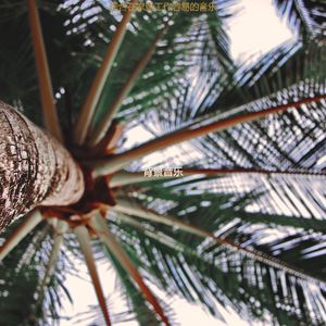 适合办公事务爵士