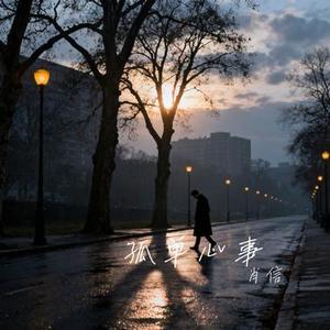 间距 (Cover en)