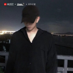 野的像风酷的像狗 (DJ版)