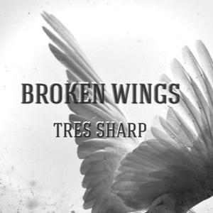 Broken Wings