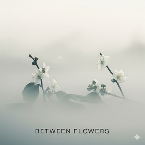 花间(破碎女声版)