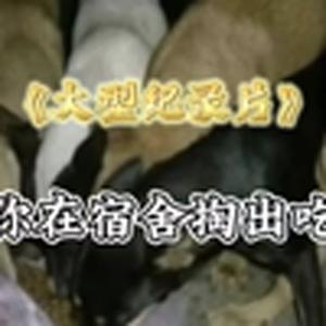大型纪录片之《全国统一舍友》