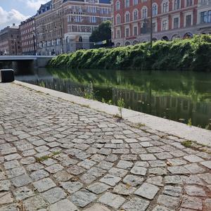 Friden (A suo avviso)