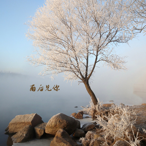 叶落归根 (排箫)