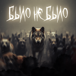 было не было