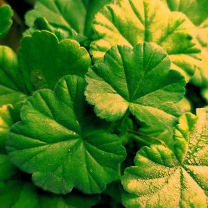 活力时光（纯音乐）