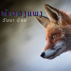 ສາວຫລວງນ້ຳ