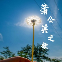 蒲公英之歌-沂蒙新阶层"蒲公英"统战工作品牌形象歌曲