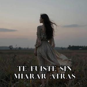 te fuiste sin mirar atras