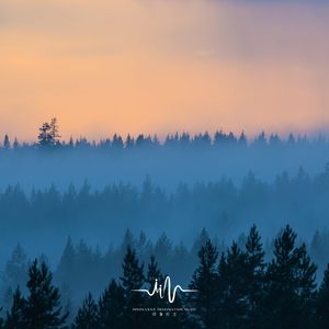 雨露的笛声 (减压助眠音乐)