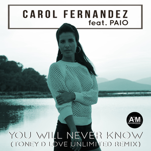 You Will Never Know (Instrumental Mix)