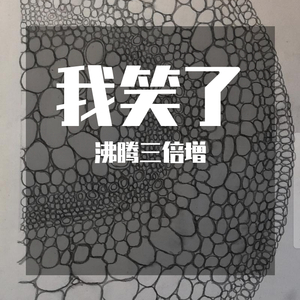 台风警告（DEMO）