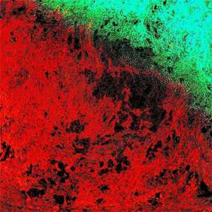 穷鬼 [POOR WRETCH]