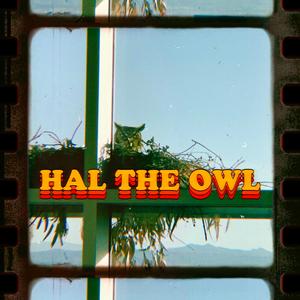 Hal the Owl