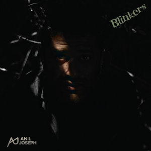Blinkers
