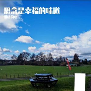 想你的味道-整曲