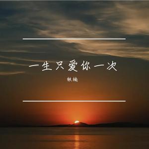 一生只爱你一次