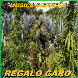 Regalo Caro - Astro H.