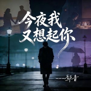 今夜我又想起你（伴奏）