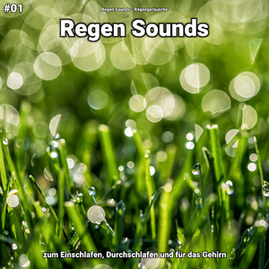 Regen Sounds, pt. 1