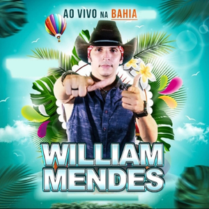 SÓ NO DESEMPENO