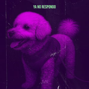 Ya No Respondo