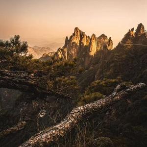 迷失情感迷宫 - 轻松纯音乐