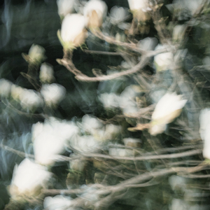 Hypocrites in the World