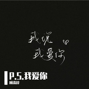 P.S.我爱你