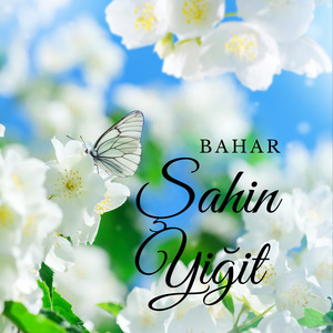 Bahar