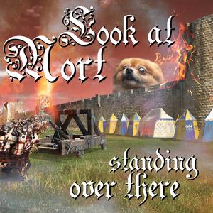 Look At Mort (Standing Over There) (feat. @mordechithepom)