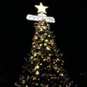 All I Want For Christmas Is You