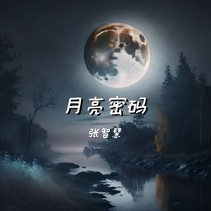 月亮密码