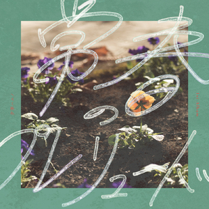 フラスコワルツ