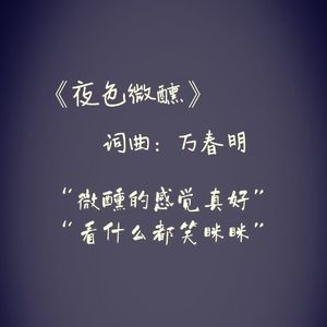 《夜色微醺》
