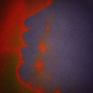 Shadowflower (Live)