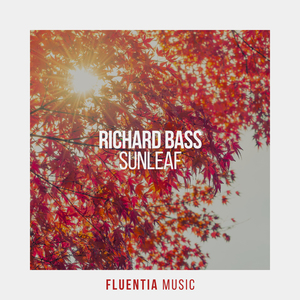 Sunleaf (Extended Mix)