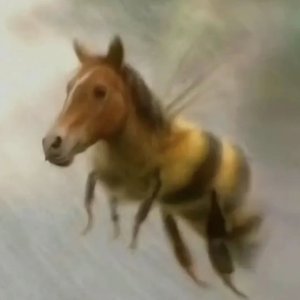 未拆封的礼物.wav