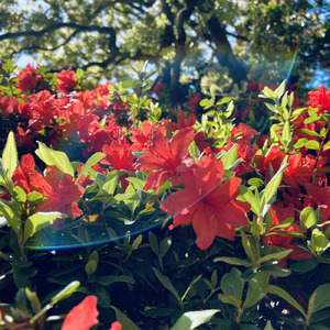 ハルシネーション