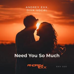 Need You So Much (Extended Mix)