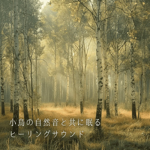 自然に癒される