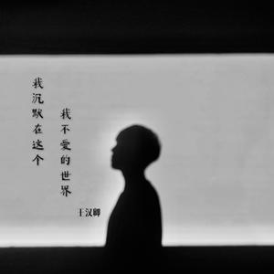 我沉默在这个我不爱的世界