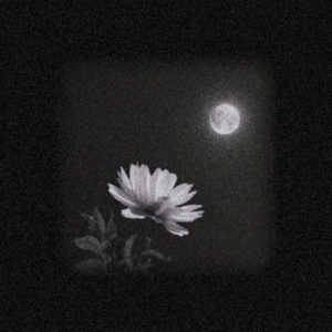 NITESCENCE VÉSPERAL