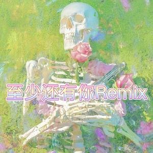 林忆莲-至少还有你remix（表哥 / Better. remix）