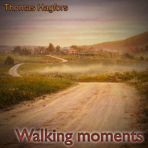 Walking Moments