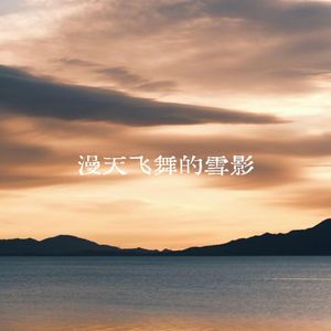 漫天飞舞的雪影