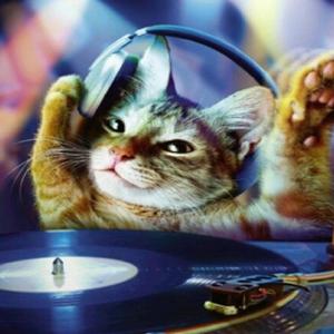 Meowmere